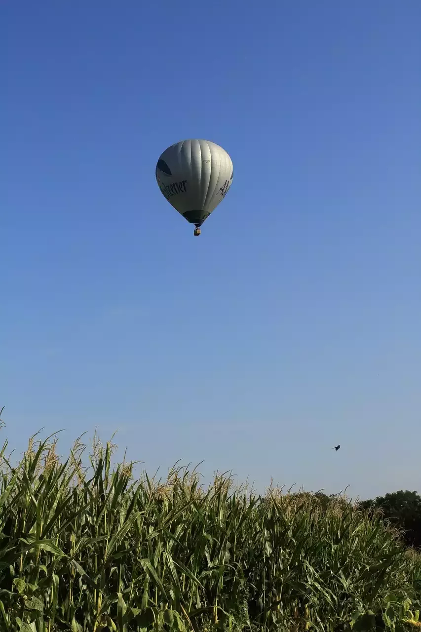 סטטינים לטיפול בכולסטרול גבוה