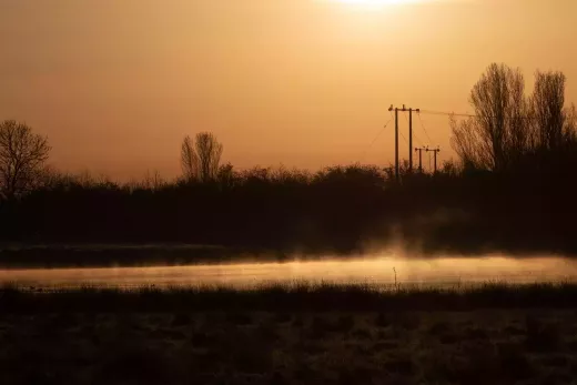 תיאור קצר של הפליאונטולוגיה